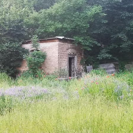 Gaestehaus Am Landgut Schonwalde-Glien المظهر الخارجي الصورة
