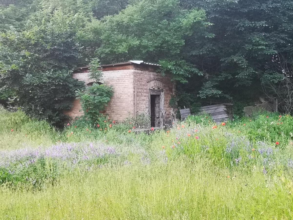 Gaestehaus Am Landgut Schonwalde-Glien المظهر الخارجي الصورة